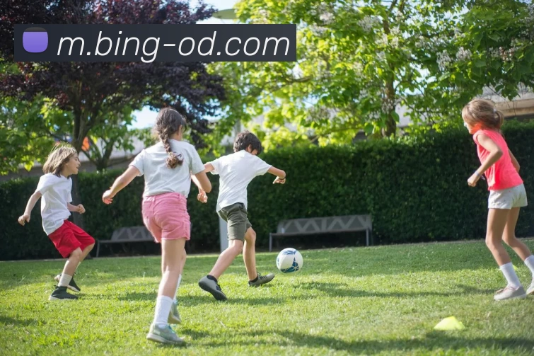 OD体育服务体系